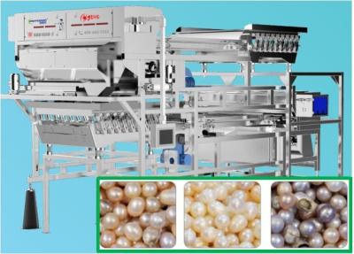 China Precise Removal Pearl Color Sorter , 3-3.5 T/H Shrimp Sorting Equipment for sale