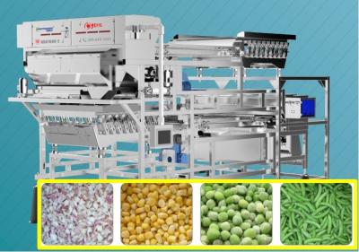 China Precise Target Frozen Onion / Green Bean Sorting Machine 1.5-2.0 T/H for sale