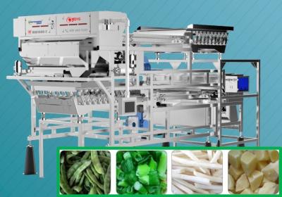 China Frozen Bean Color Sorter Machine , Potato Sorting Equipment With Phoenix Lens for sale