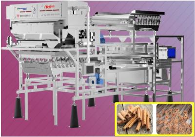 China RGB Cinnamon Color Sorter Belt Type 400-600Kg/h with MeanWell Power Supply for sale