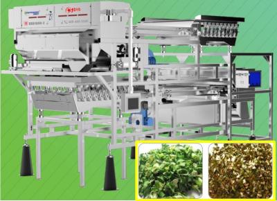 China RGB Vegetable Sorting Machine Quality Components 2.0 t/h For Chopped Scallion for sale