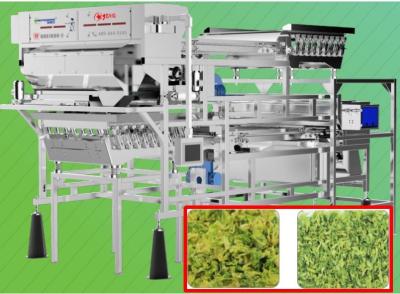 China 2.0T/H Vegetable Sorting Machine Precise Target Positioning 5400 pixel For Cabbage for sale