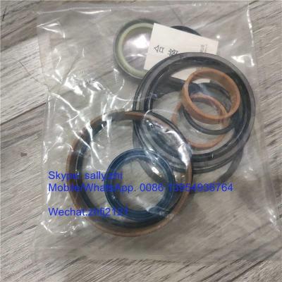 China SDLG sealing kit , 4120005559013,  grader spare parts for grader SDLG G9165/ G9180 /G9190 /G9200/ G9220 for sale