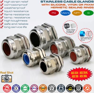 China 304, 316, 316L Stainless Steel PG Cable Glands IP68 Watertight Metal Compression Glands with Fluoroelastomer Seals for sale