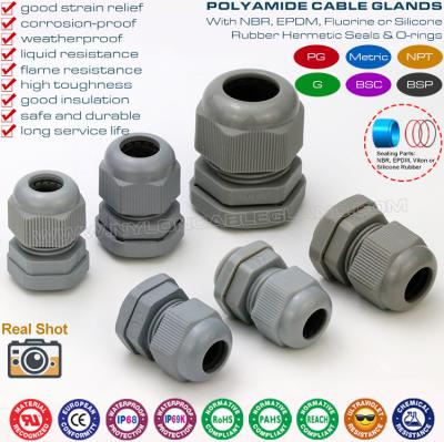 China Straight Cable Glands, Metric & PG Thread, IP68, Polyamide 6 (Nylon 6), Grey RAL7001 & 7005, for Junction Box for sale