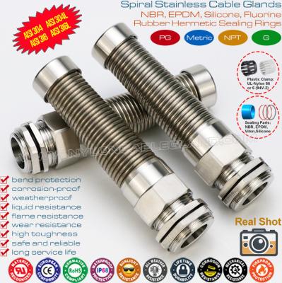 China SS304 / SS316 Stainless Steel Metallic PG Cable Glands IP68 with Spiral Protecting Spring for sale
