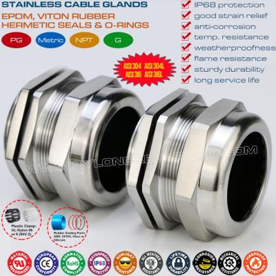 China 304, 316, 316L Stainless Steel PG36 Cable Gland, IP68 Watertight Adjustable Gland Connector for 25-33mm Range for sale