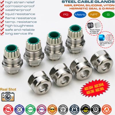 China SS304, SS316 & SS316L Stainless Steel PG9 Cable Gland, IP68 Hermetic Electrical Gland Connector for 4-8mm Wire for sale