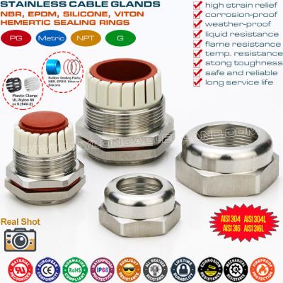 China Anti-Corrosion IP68 Metric Cable Glands Stainless Steel 304, 316, 316L SCG Series with Silicone Seal & O-ring for sale