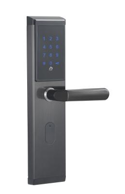 China WiFi Enabled Electronic Smart Lock Get This Function Via Gateway for sale