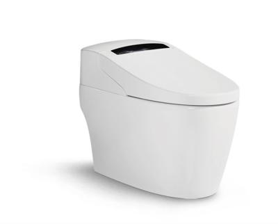 China Waterproof Air Purification Acrylic ABS Intelligent Flushing Toilet Seat for sale