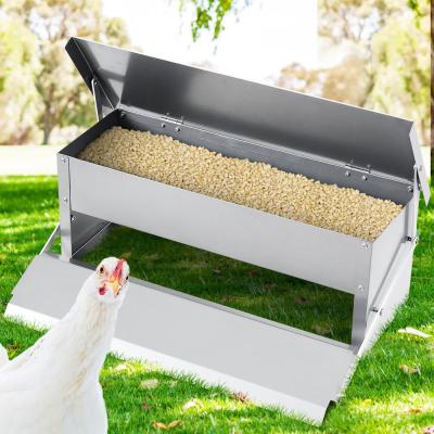 China Automatic Lid 5kg 8.2L Feed Timer Chicken Feeder for sale