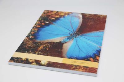 China Butterfly Pattern CMYK Full Color Paperback Offset Paper Notebook Printing Services for sale