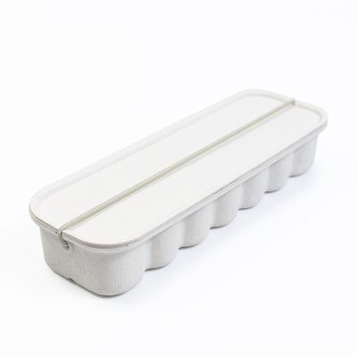 China Biodegradable Paper White Molded Pulp Tray With Elastic Rope For Electric Toothbrush à venda