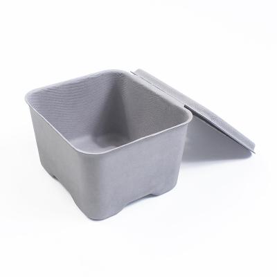 China FSC Biodegradable Pulp Containers Gray Products Custom Molded Pulp Packaging With Lid en venta