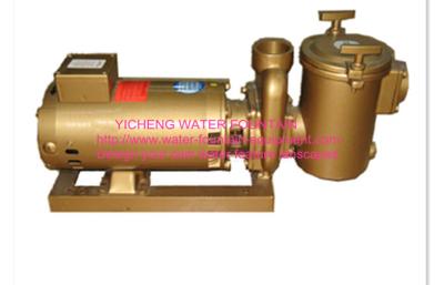 China Brass  swimming pool equipment Centrifugal Pump Big Filtration Sea Water for sale