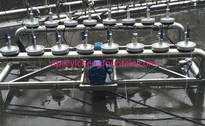 China Sistema de la fuente del baile del agua del espray del oscilación de la gaviota del equipo de la fuente de agua del baile del cisne en venta
