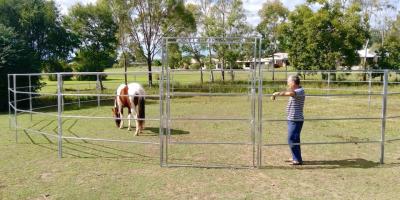 China 16 Panel Cattle Corral Panels  Inc Gate, Round Yard, Cattle Fences  11m Diameter for sale
