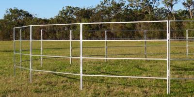China Round Corral Panels Heavy Duty 6 Oval Rail - Cattle Yards Horse Panels Round for sale