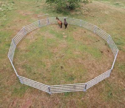 China 22 Round Corral Panels Inc Gate,Portable Horse Pens For Sale, Corral 15m Diameter for sale