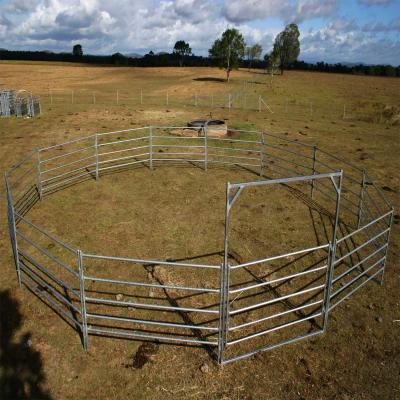 China Portable Horse Stall Panels 30 METER Heavy Duty 6 Oval Rail - Cattle Yard Victoria for sale