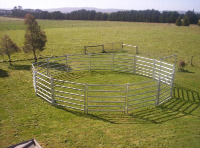 China 18 Round Yard Panels For Sale HEAVY Duty Outdoor Animal Enclosure with Gate for sale