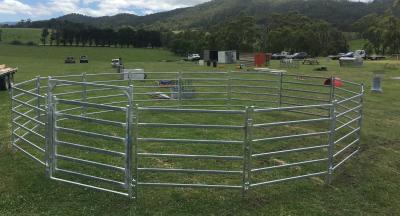 China 20 Round Corral Panels Inc Gate, Round Yard, Cattle Fences, Corral 14m Diameter for sale