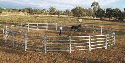 China 13Panel Cattle Corral Panels  Inc Gate, Round Yard, Cattle Fences  9m Diameter for sale