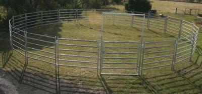 China Round Yard Panels For Sale 1.5m Gate. Locking Pins. 