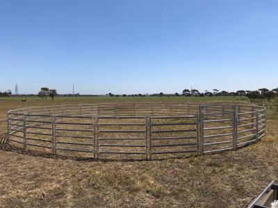 China 16 Panel Horse Yard Panels For Sale Inc Gate, Round Cattle Fences, Corral 11m Diameter for sale