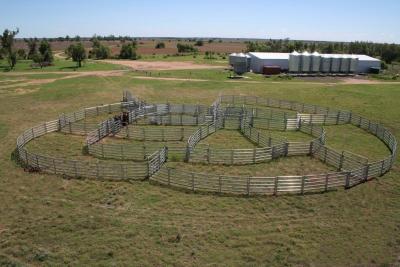 China HEAVY Duty 18 Round Yard horse corral panels Outdoor Animal Enclosure with Gate for sale