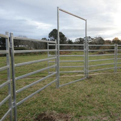China Portable Horse Stall Panels 5 Oval Rails. Locking Pins. ,  Victoria , Cattle for sale