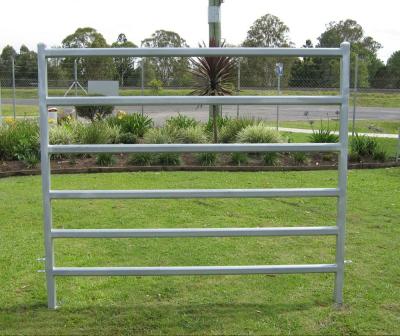 China Round Corral Panels Horse inc gate Livestock Cattle Sheep Oval Rail holding yard for sale
