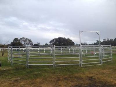 China 16 Panel Portable Horse Pens For Sale Inc  Round Cattle Fences, Corral 11m Diameter for sale