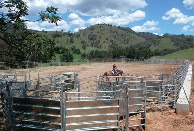 China Portable Horse Pens For Sale 1.5m Gate. Locking Pins. 