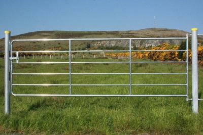 China Purpose galvanized tube Farm Gate Cattle Horse Sheep Yard Panels  Victoria 