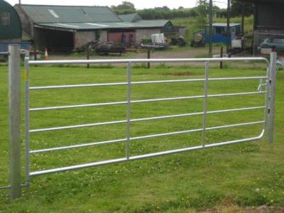 China Gate 5 Bar 8' (2400mm) - Farm Field Brisbane Pick up for sale
