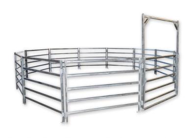 China 40x40 1.8M x 2.1M Heavy Duty Portable Cattle Panels For sale 6 Oval Bars 30*60mm for sale