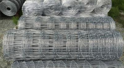 China Galvanized Wire Mesh Garden corral fence panels field fence 330 feet Zoo wire farm fence for sale
