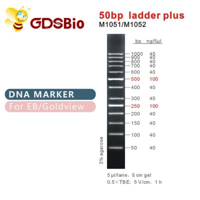 China 50bp Ladder Plus DNA Marker M1051 (50μg)/M1052 (50μg×5) for sale