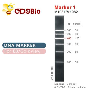China Marker 1 DNA ladder M1081 (50μg)/M1082 (50μg×5) for sale