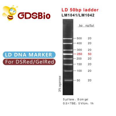 China LM1041 GDSBio LD 50bp Gel Electrophoresis Marker Ladder for sale