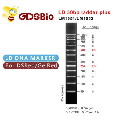 China 50bp Ladder Plus DNA Marker Electrophoresis , DNA Size Markers Gel Electrophoresis for sale