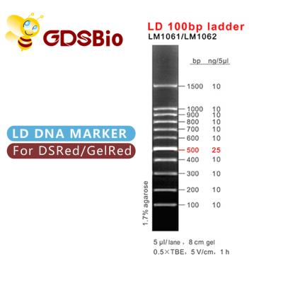 China 100bp Ladder Gel Electrophoresis DNA Marker 60 Preps for sale