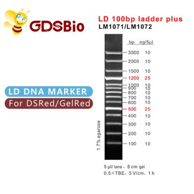 China 60 Preps LD 100bp Ladder Plus DNA Marker Electrophoresis for sale