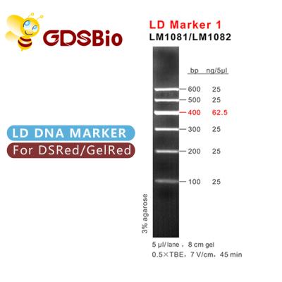 China Blue Appearance LD Marker 1 DNA Marker Electrophoresis for sale