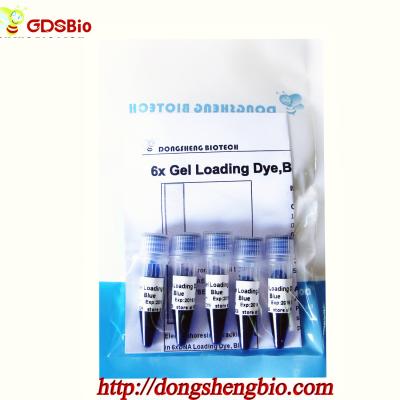 China Amortecedor de carregamento de M9051 1mlx5 6× em reagentes específicos da eletroforese do ADN do gel à venda