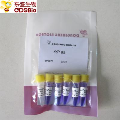 China FS PCR de Hoofdmengelingspcr Kit For van het RNA Nucleic Zuur van DNA Opsporing P3072 1ml×5 Te koop