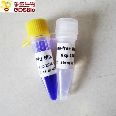 China Hotstart Pfu Mix PCR Master Mix P2051 1m P2052 Blue Buffer for sale
