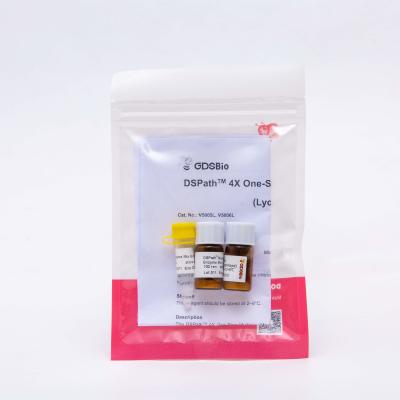 China Lyophilized One Step RT PCR Master Mix DSPath 4X for sale